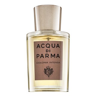 Acqua di Parma Colonia Intensa Eau de Cologne für Herren 50 ml