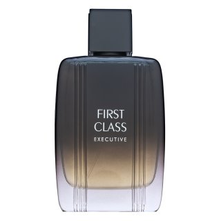 Aigner First Class Executive Eau de Toilette für Herren 100 ml