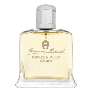 Aigner Private Number Eau de Toilette für Herren 100 ml