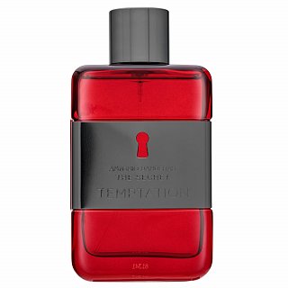 Antonio Banderas The Secret Temptation Eau de Toilette für Herren 100 ml