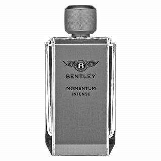 Bentley Momentum Intense Eau de Parfum für Herren 100 ml