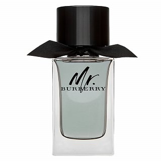 Burberry Mr. Burberry eau de Toilette für Herren 100 ml