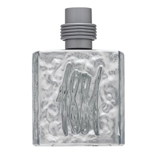 Cerruti 1881 Silver Eau de Toilette für Herren 100 ml