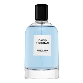 David Beckham Infinite Aqua Eau de Parfum für Herren 100 ml