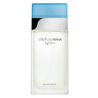 Dolce & Gabbana Light Blue eau de Toilette für Damen 100 ml