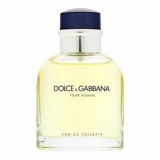 Dolce & Gabbana Pour Homme eau de Toilette für Herren 75 ml