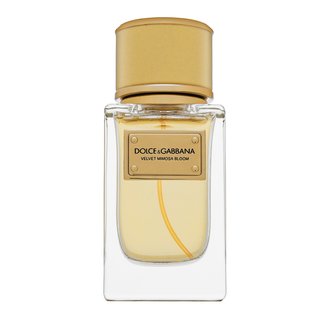 Dolce & Gabbana Velvet Mimosa Bloom Eau de Parfum für Damen 50 ml