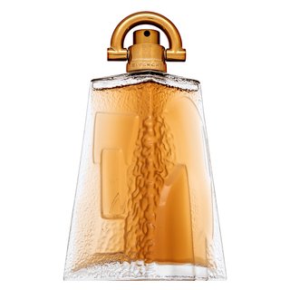 Givenchy Pí eau de Toilette für Herren 100 ml