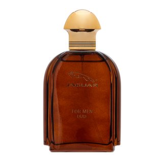 Jaguar Oud For Men Eau de Parfum für Herren 100 ml