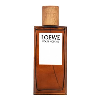 Loewe Pour Homme Eau de Toilette für Herren 100 ml