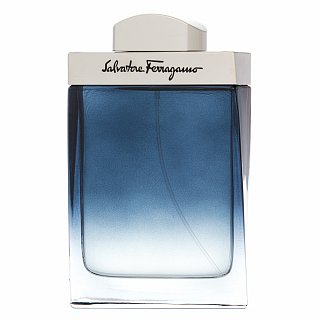 Salvatore Ferragamo Subtil Pour Homme eau de Toilette für Herren 100 ml