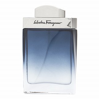 Salvatore Ferragamo Subtil Pour Homme eau de Toilette für Herren 50 ml