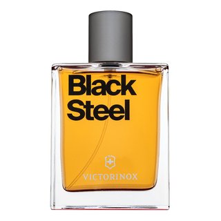 Swiss Army Black Steel Eau de Toilette für Herren 100 ml