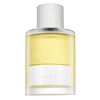 Tom Ford Signature Beau de Jour Eau de Parfum für Herren 100 ml